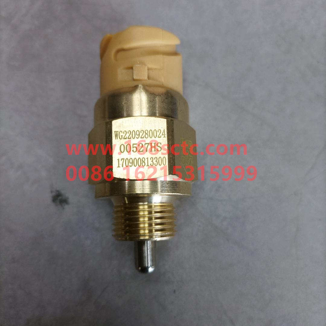 WG2209280024*