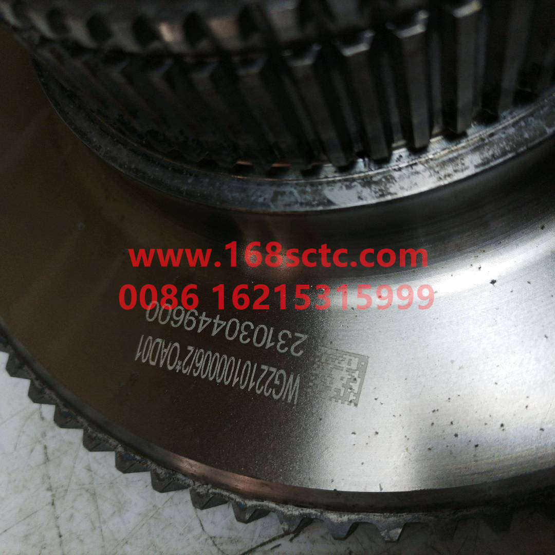 WG2210100006