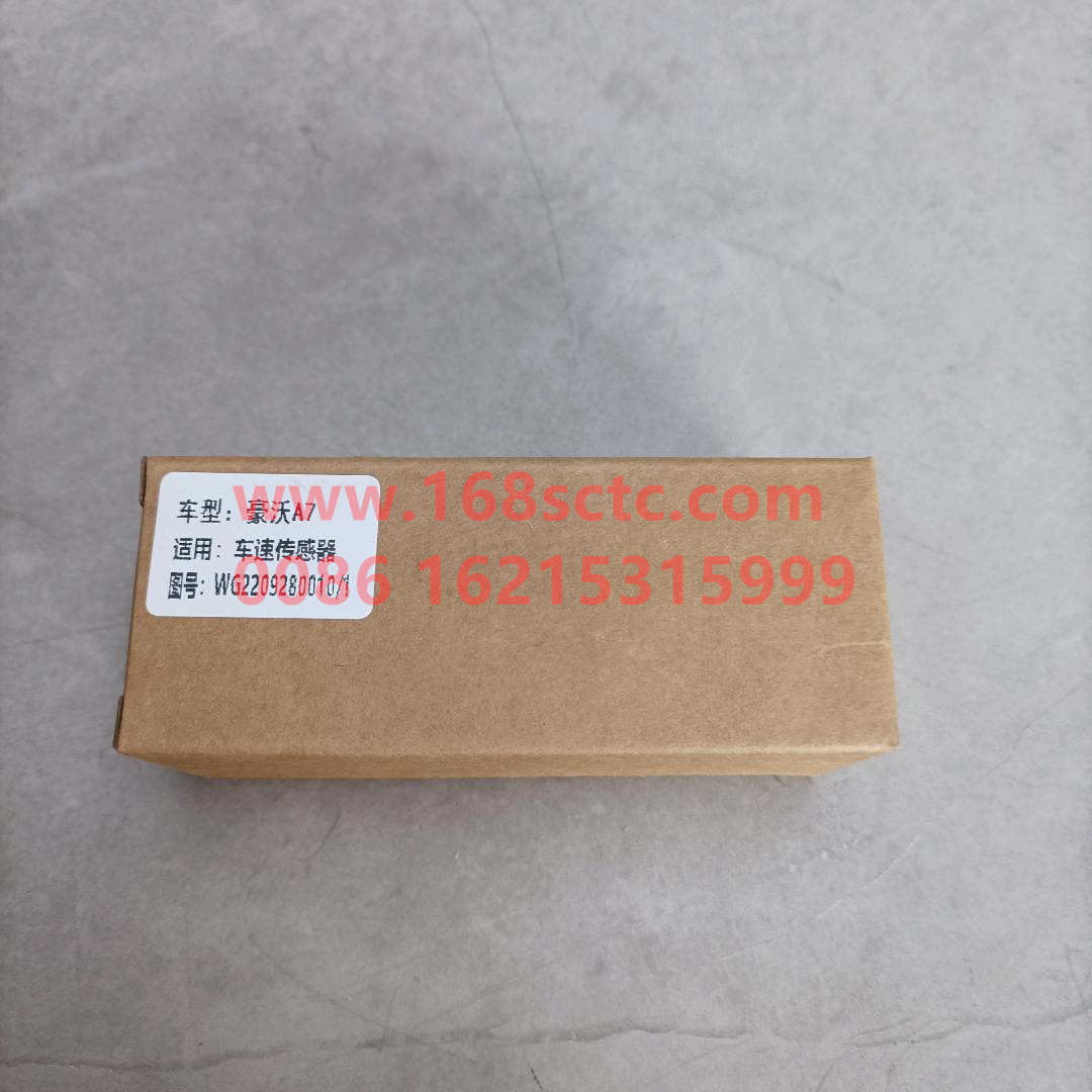 WG2209280010*