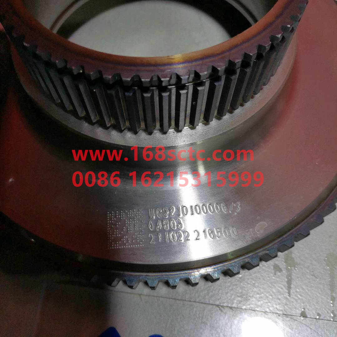 WG2210100005*