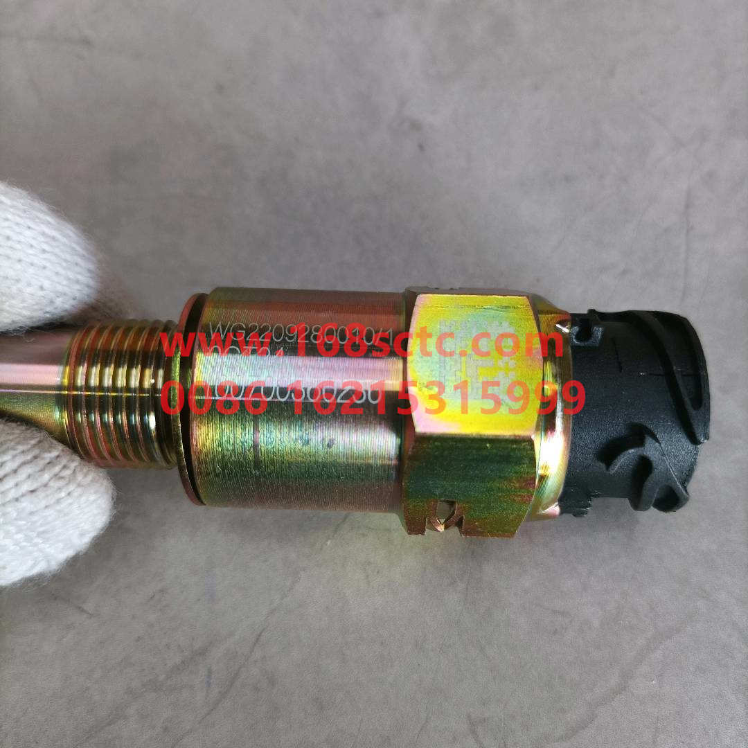 WG2209280010*