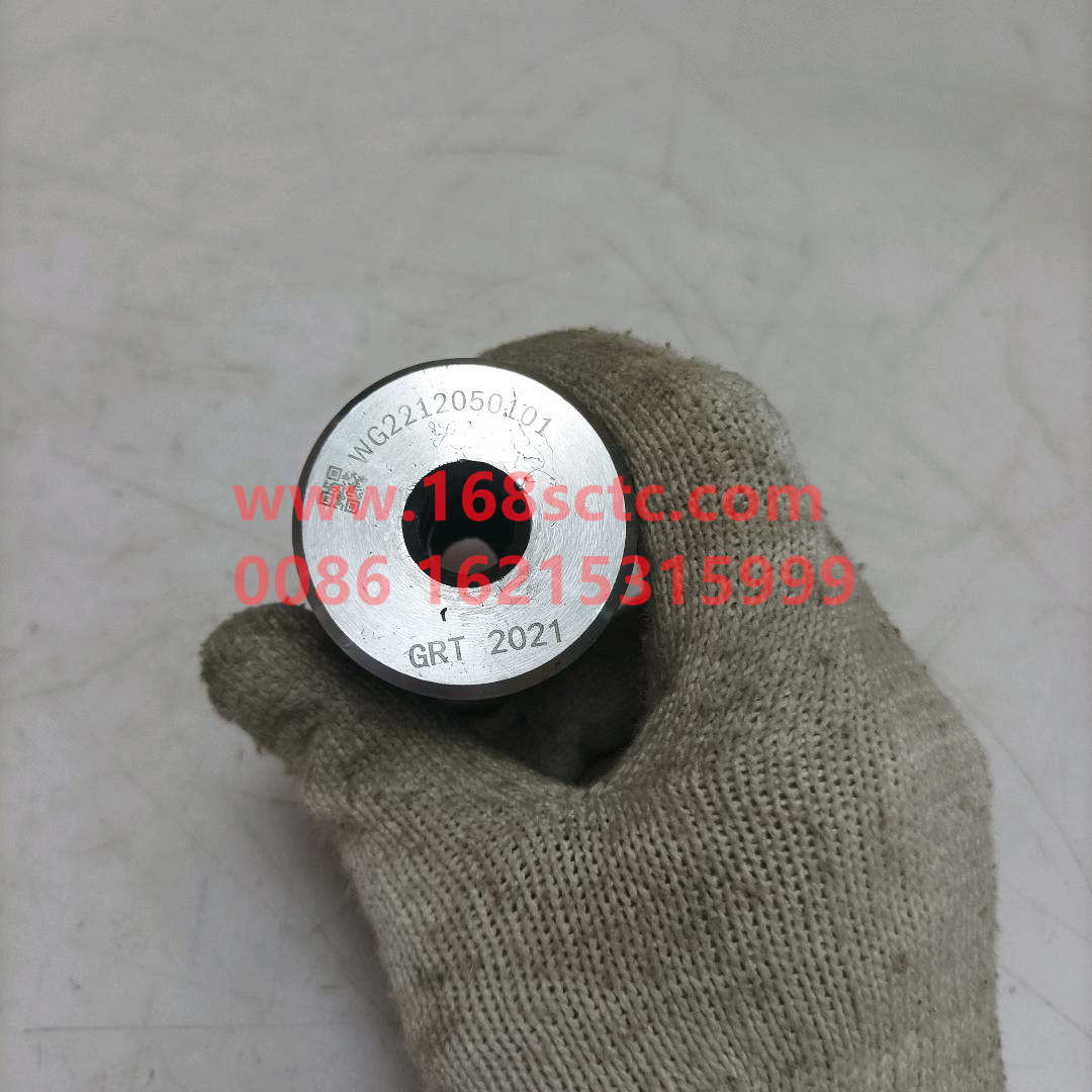 WG2212050101*