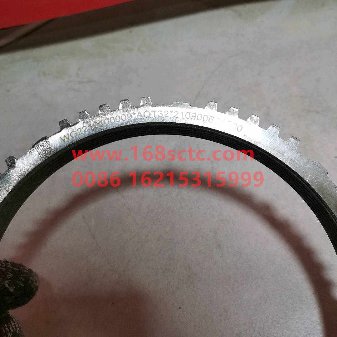 WG2210100009*
