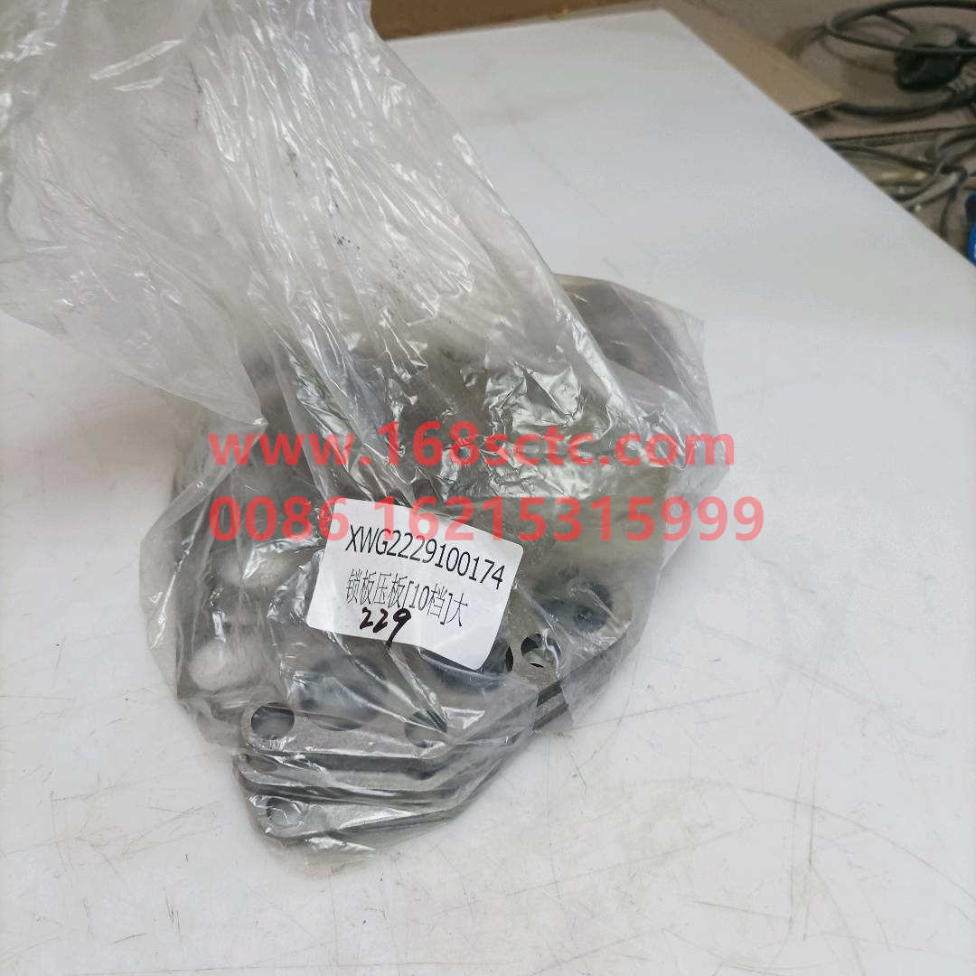 WG2229100174*