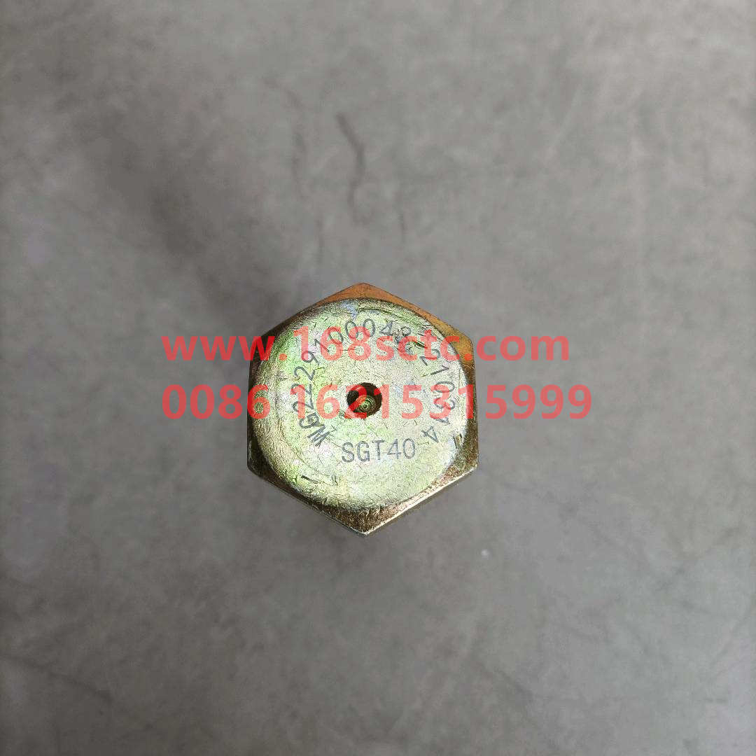 WG2229100043*