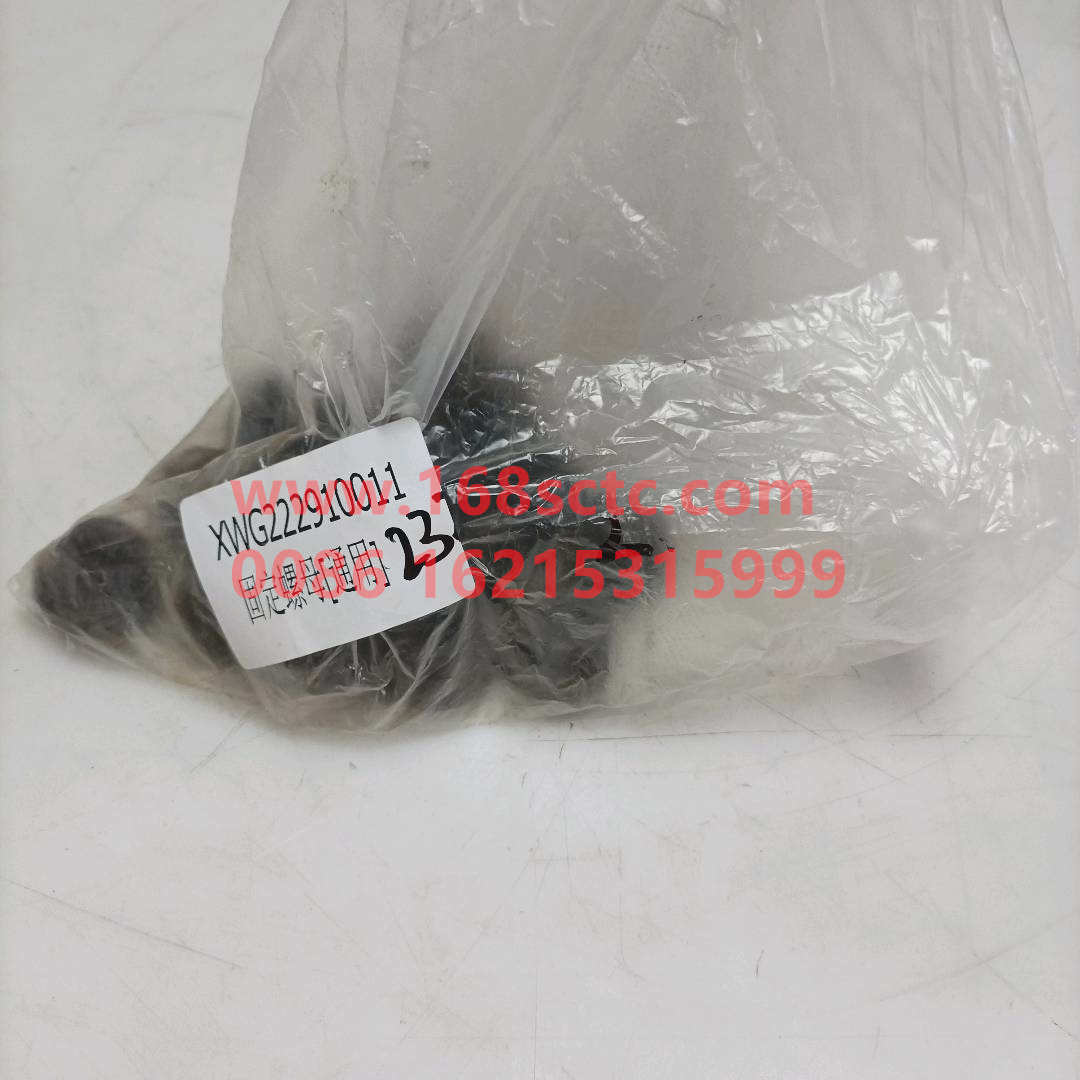 WG2229100011*