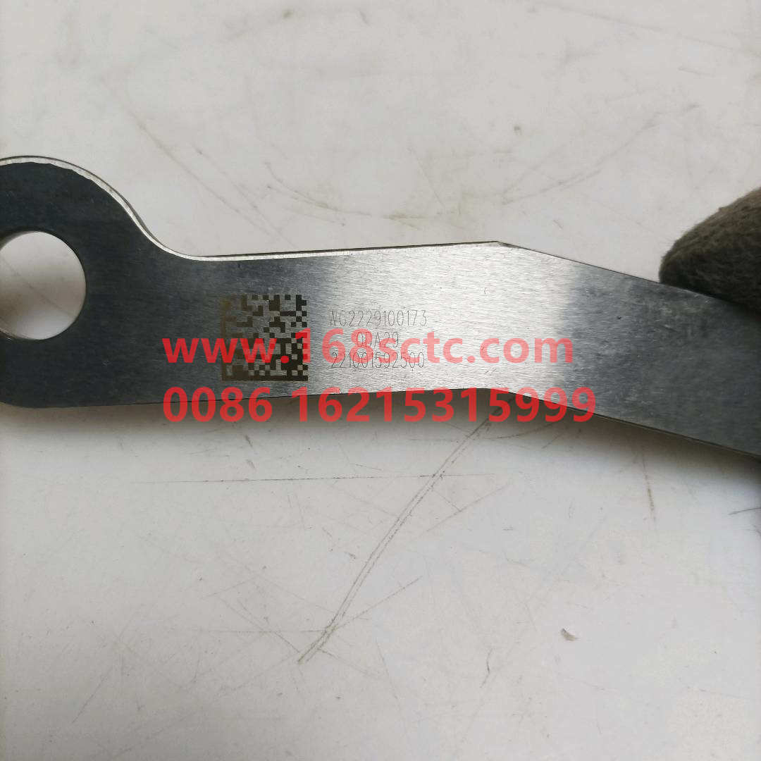 WG2229100173*