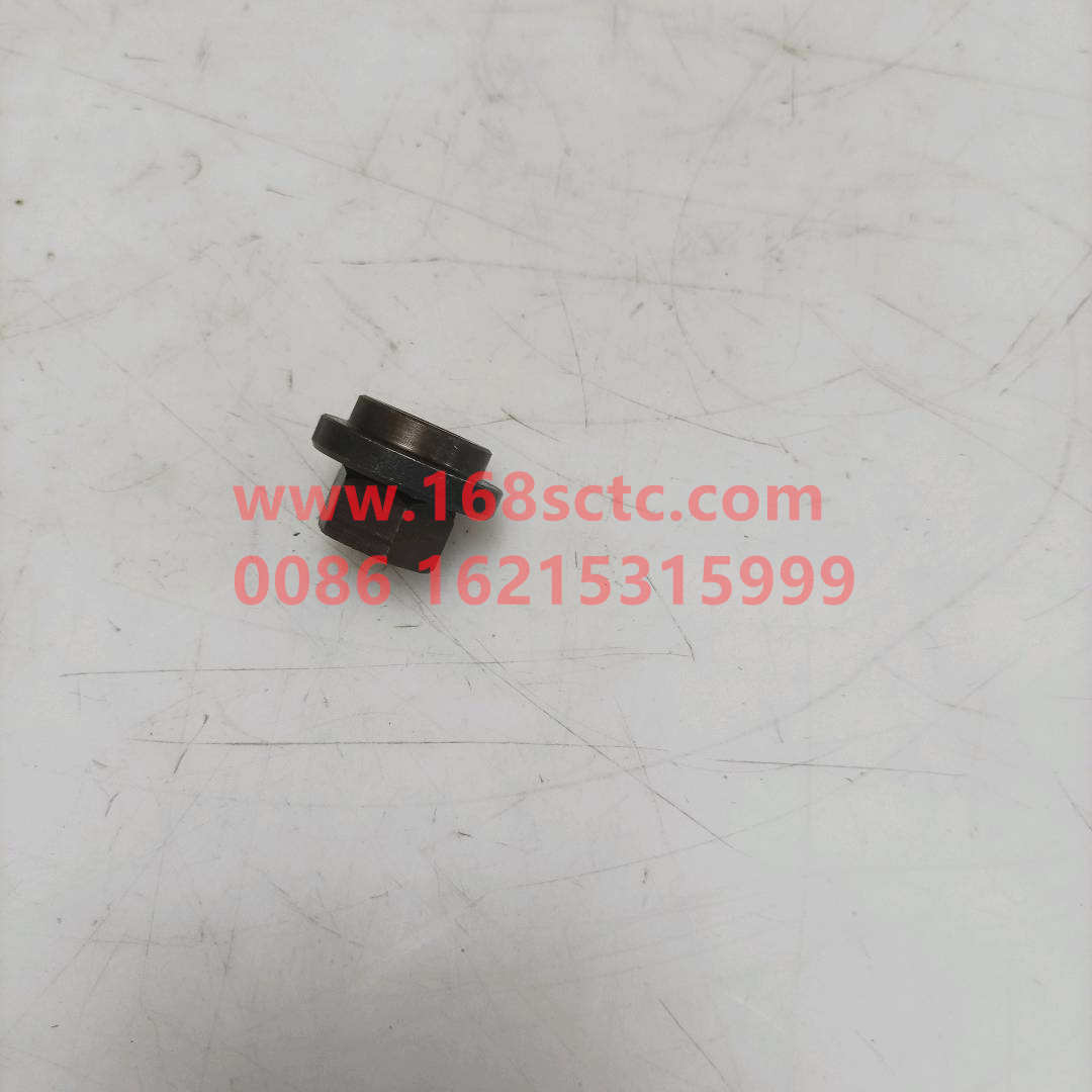 WG2229100011*