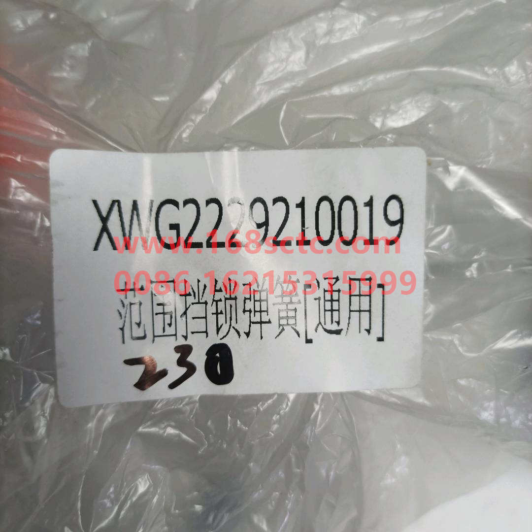 WG22292100197*