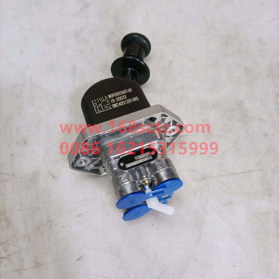 WG9000360165*
