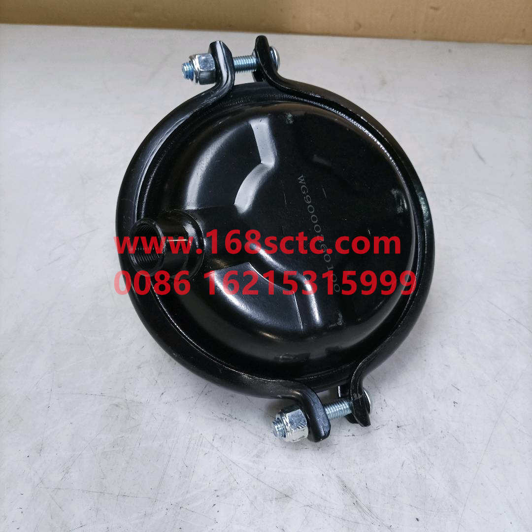 WG9000360100*