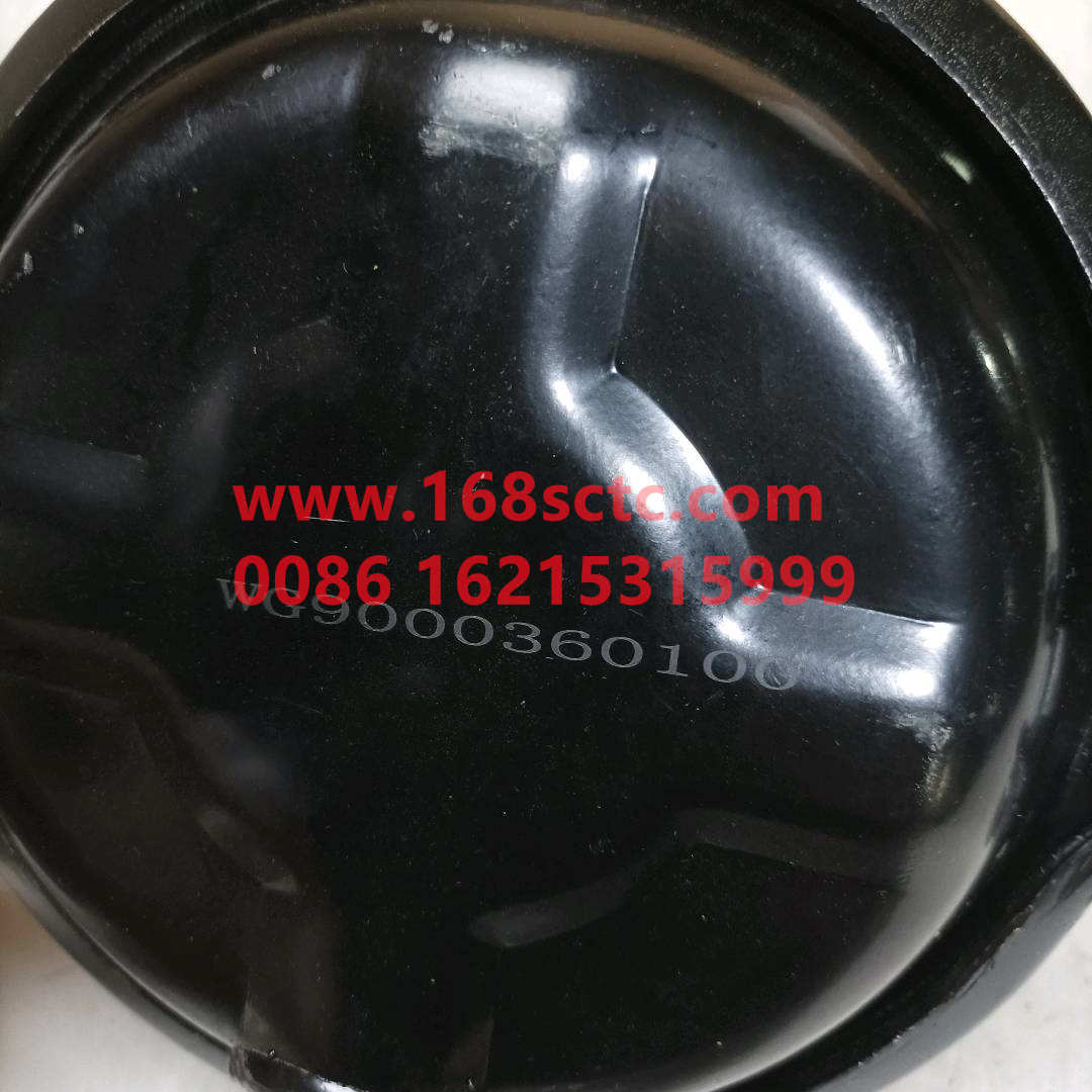 WG9000360100*