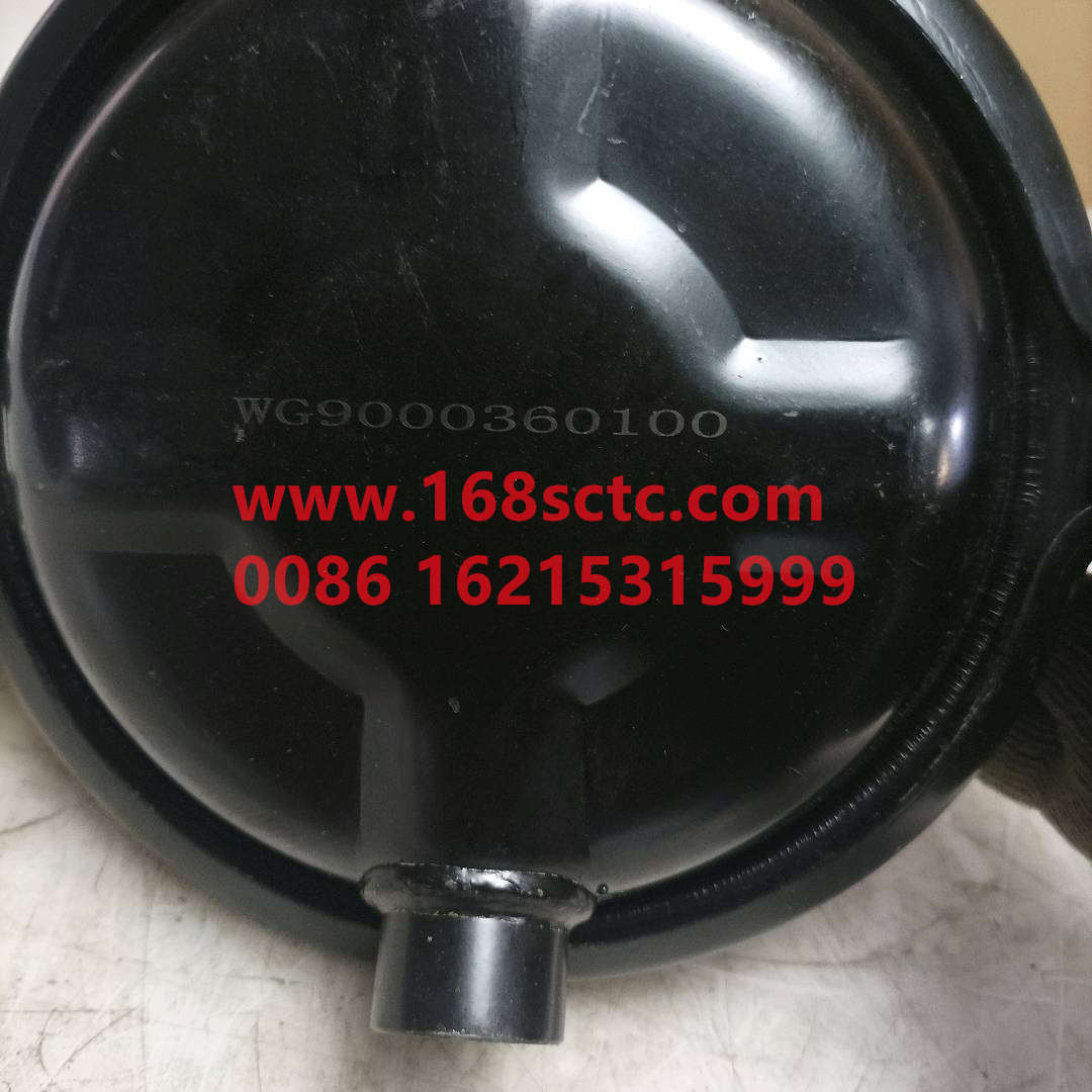 WG9000360100*