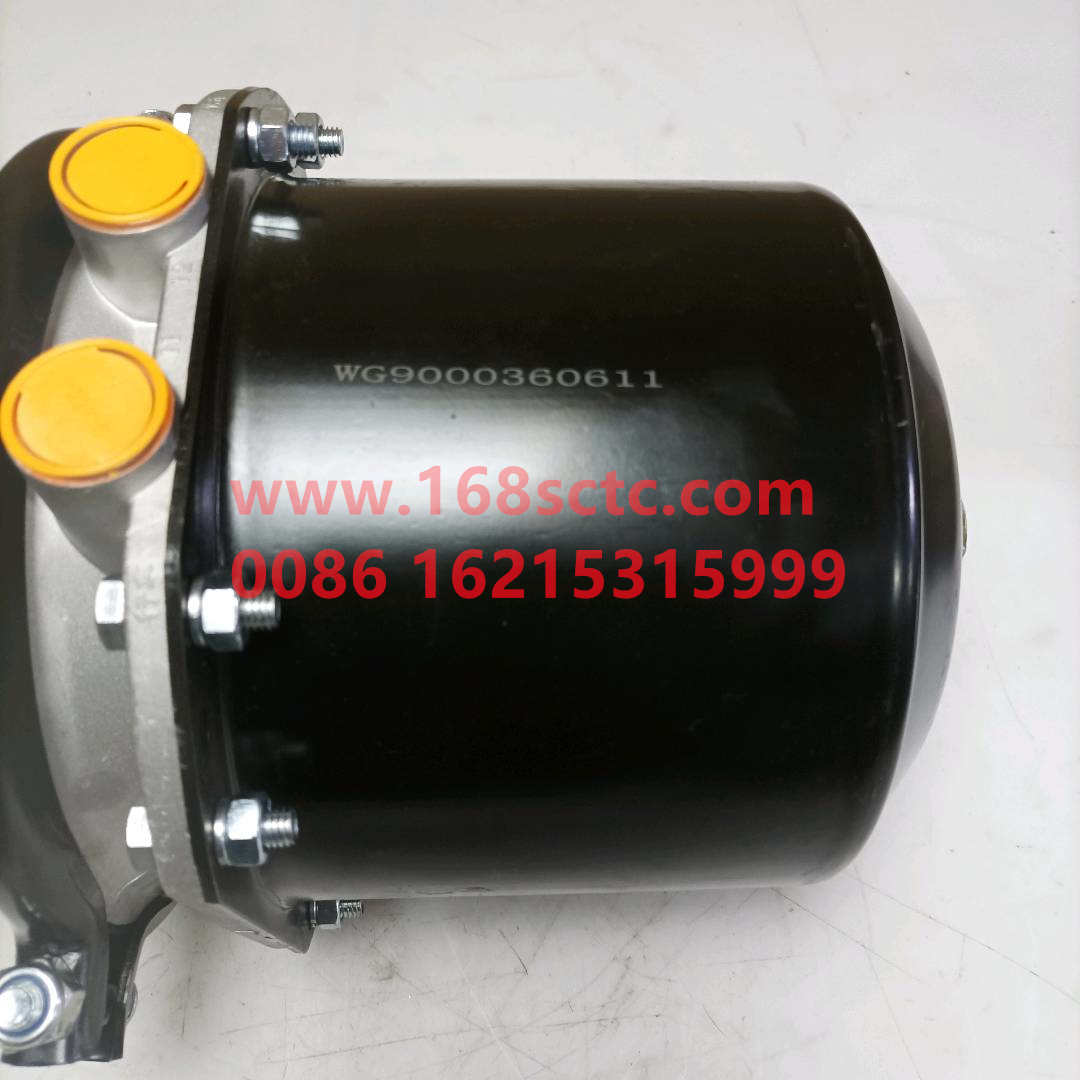 WG9000360611*