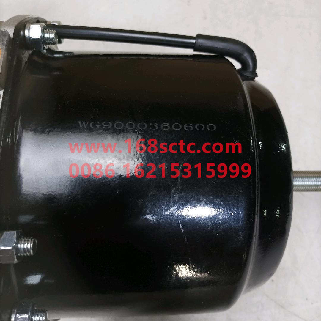 WG9000360600*