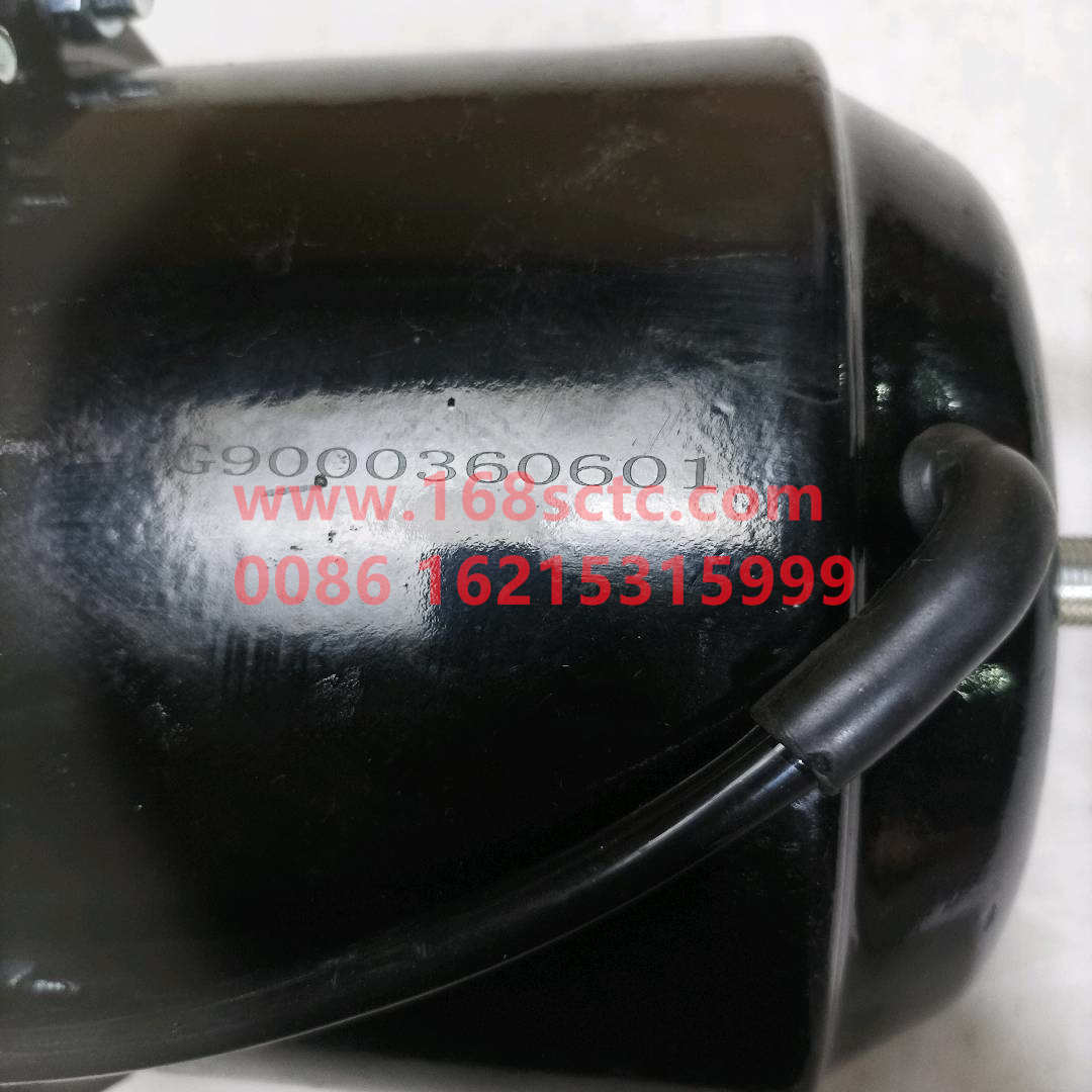 WG9000360601*