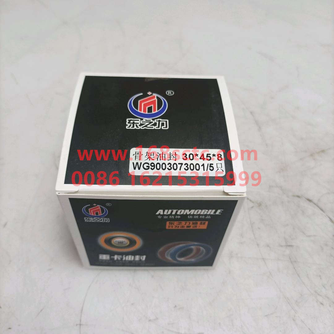 WG9003073001