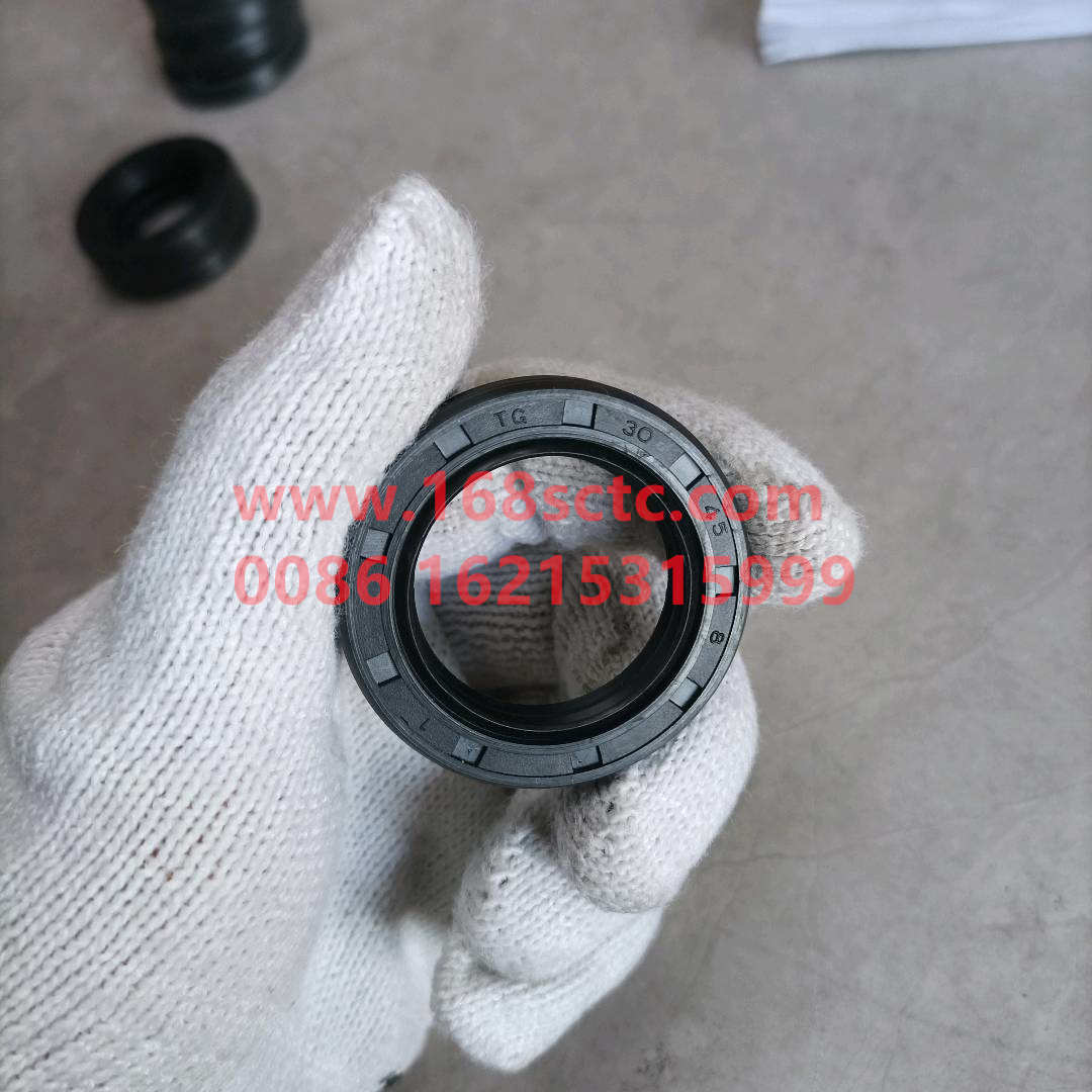 WG9003073001