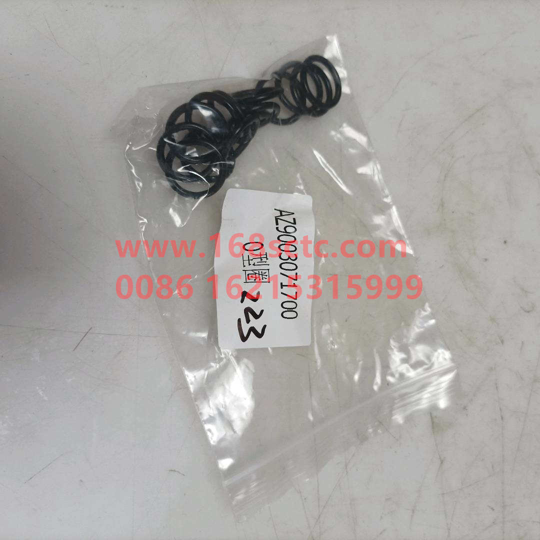 WG9003071700*