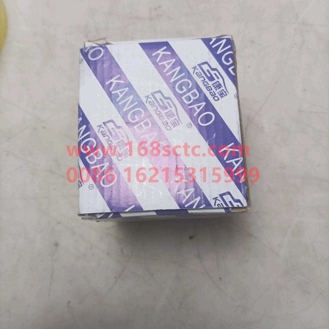 WG9000520078*