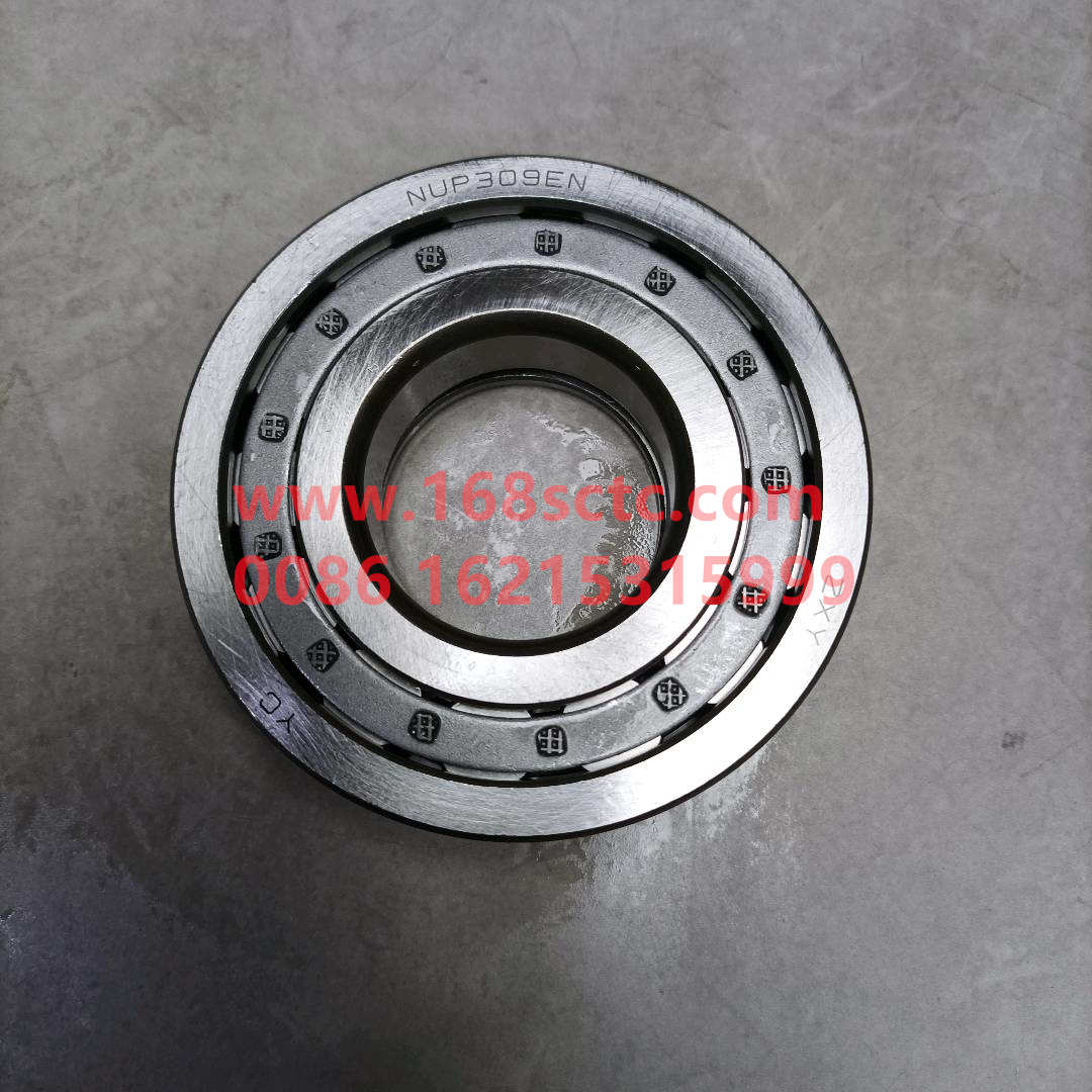 WG9003329309*