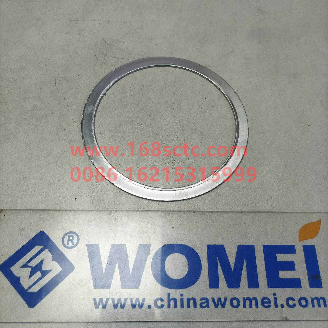 WG9100520008