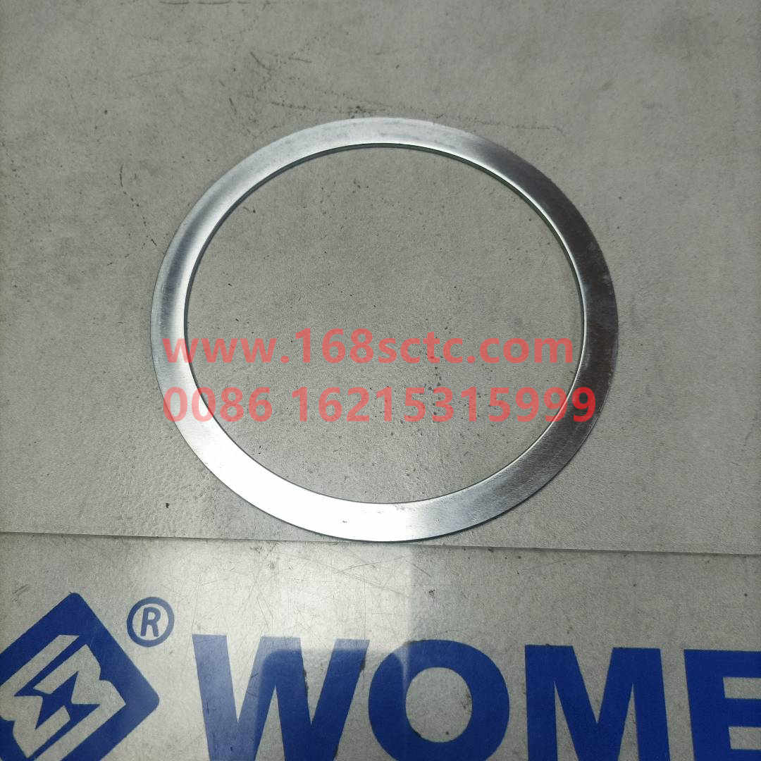 WG9100520008