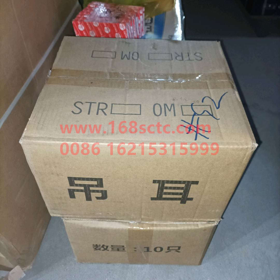 WG9100520034*