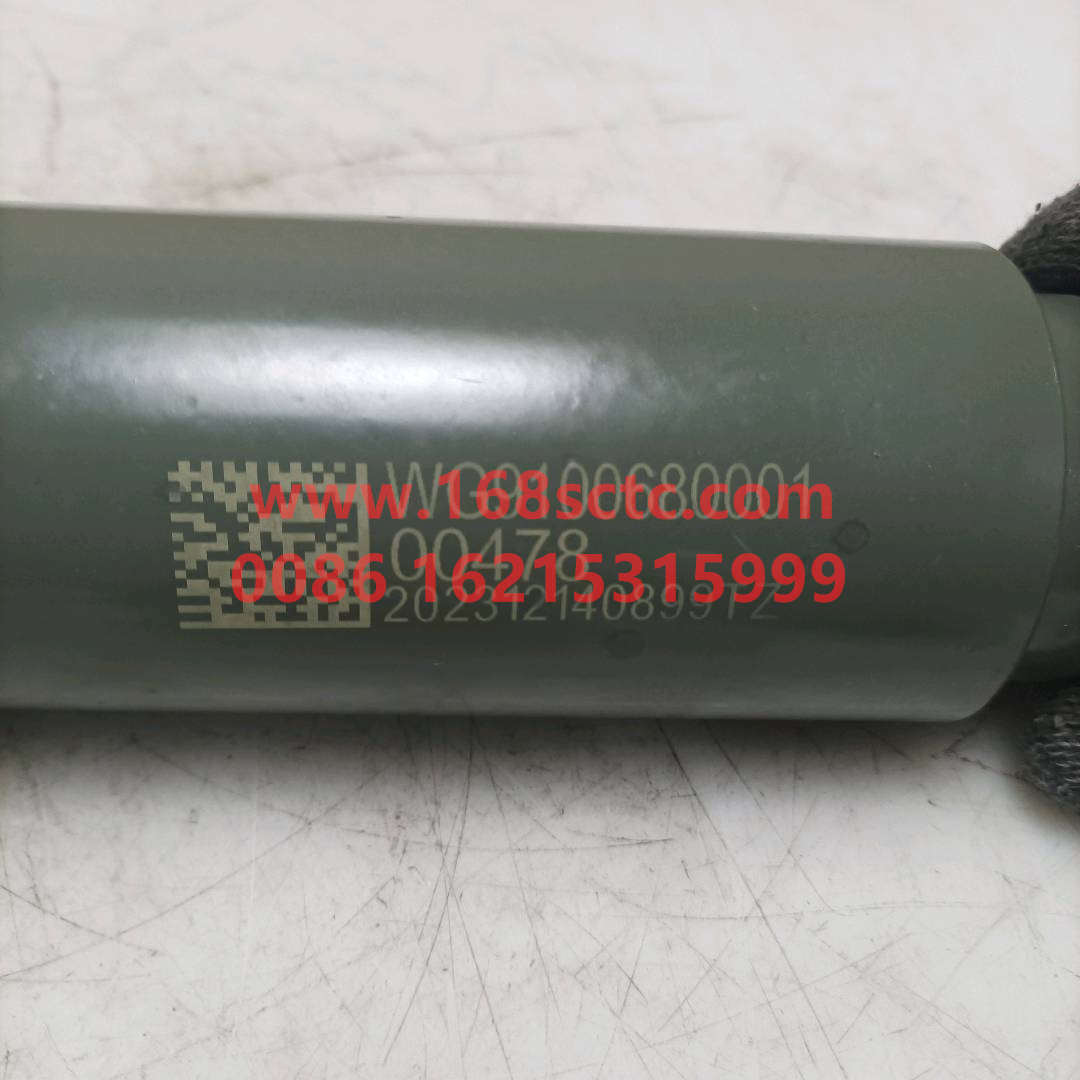 WG9100680001