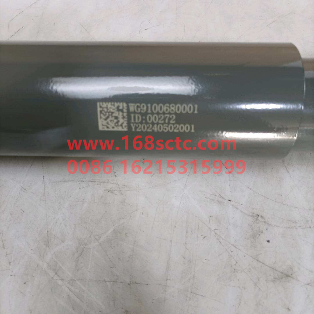 WG9100680001
