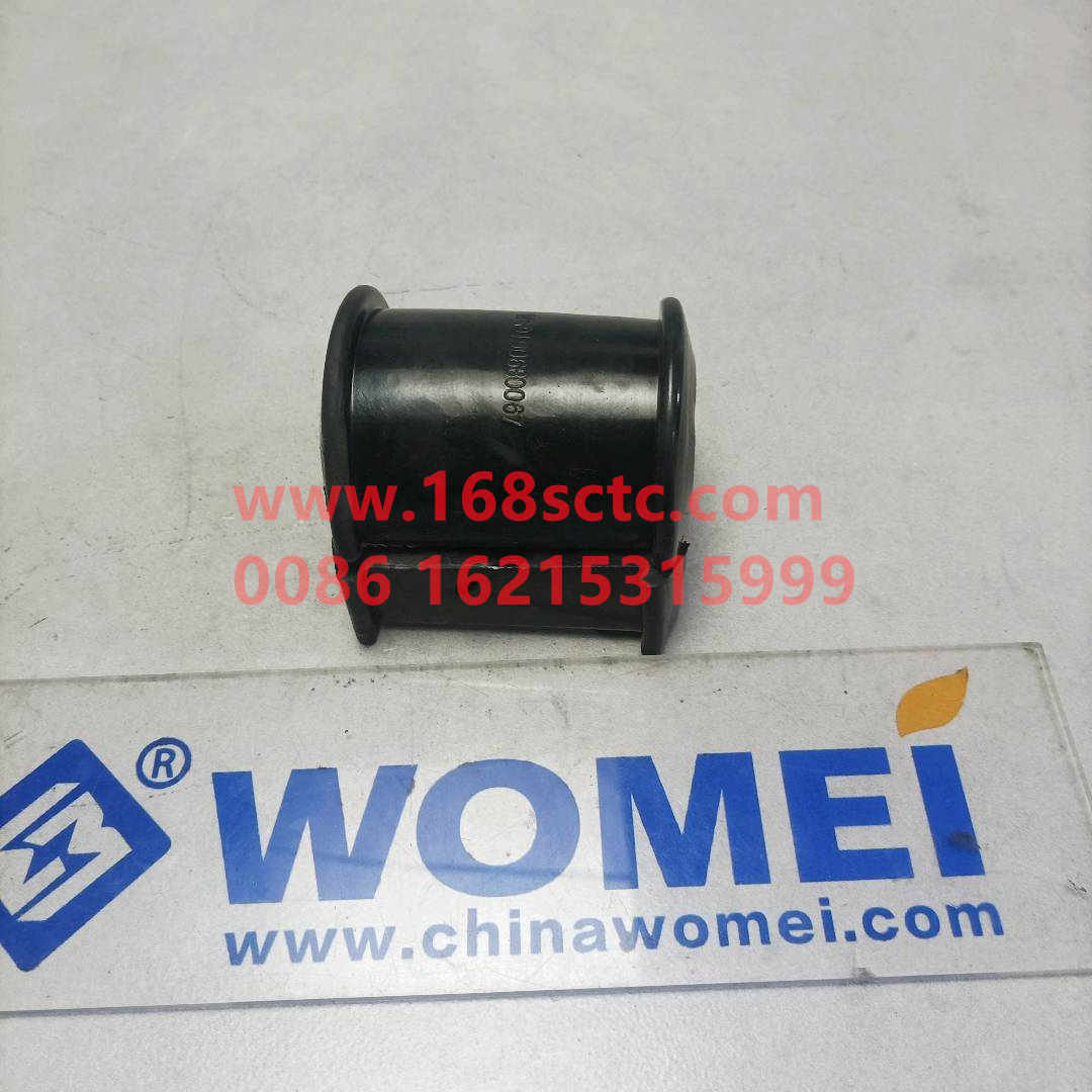 WG9100680067