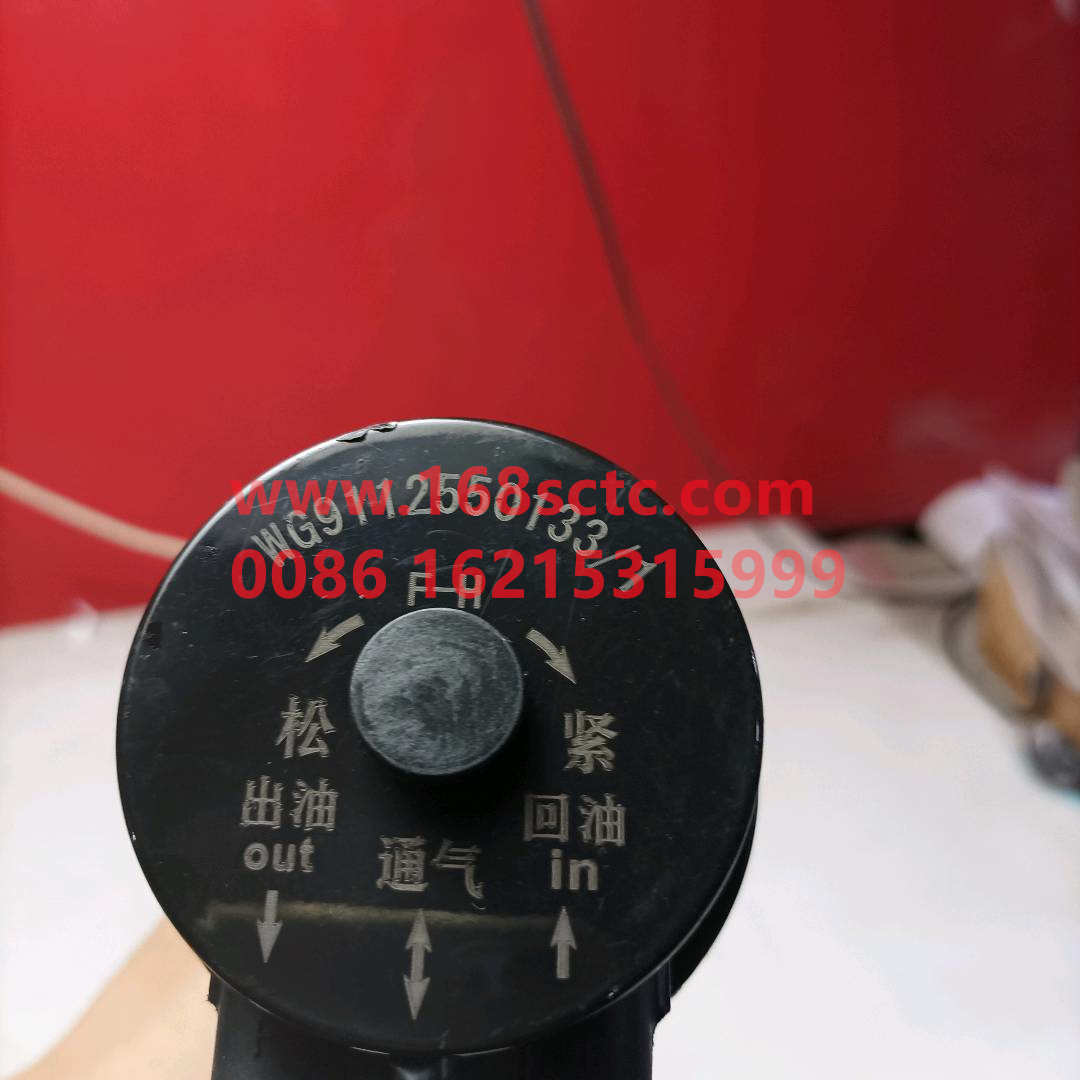 WG9112550133*