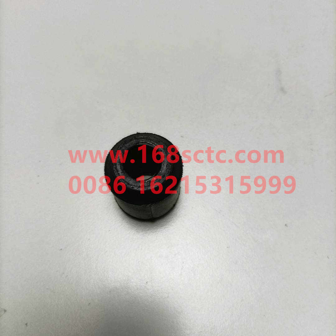 WG9100680054
