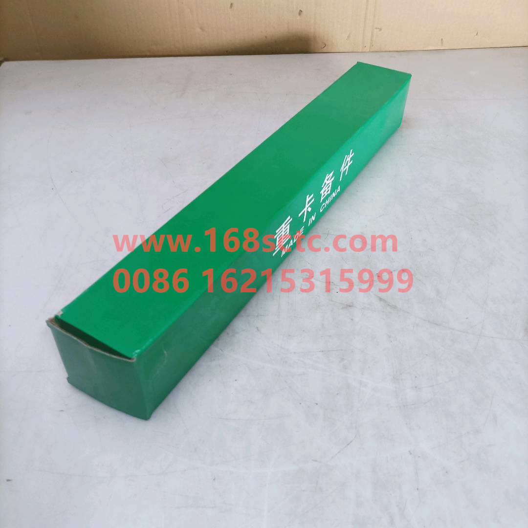 WG9100680001