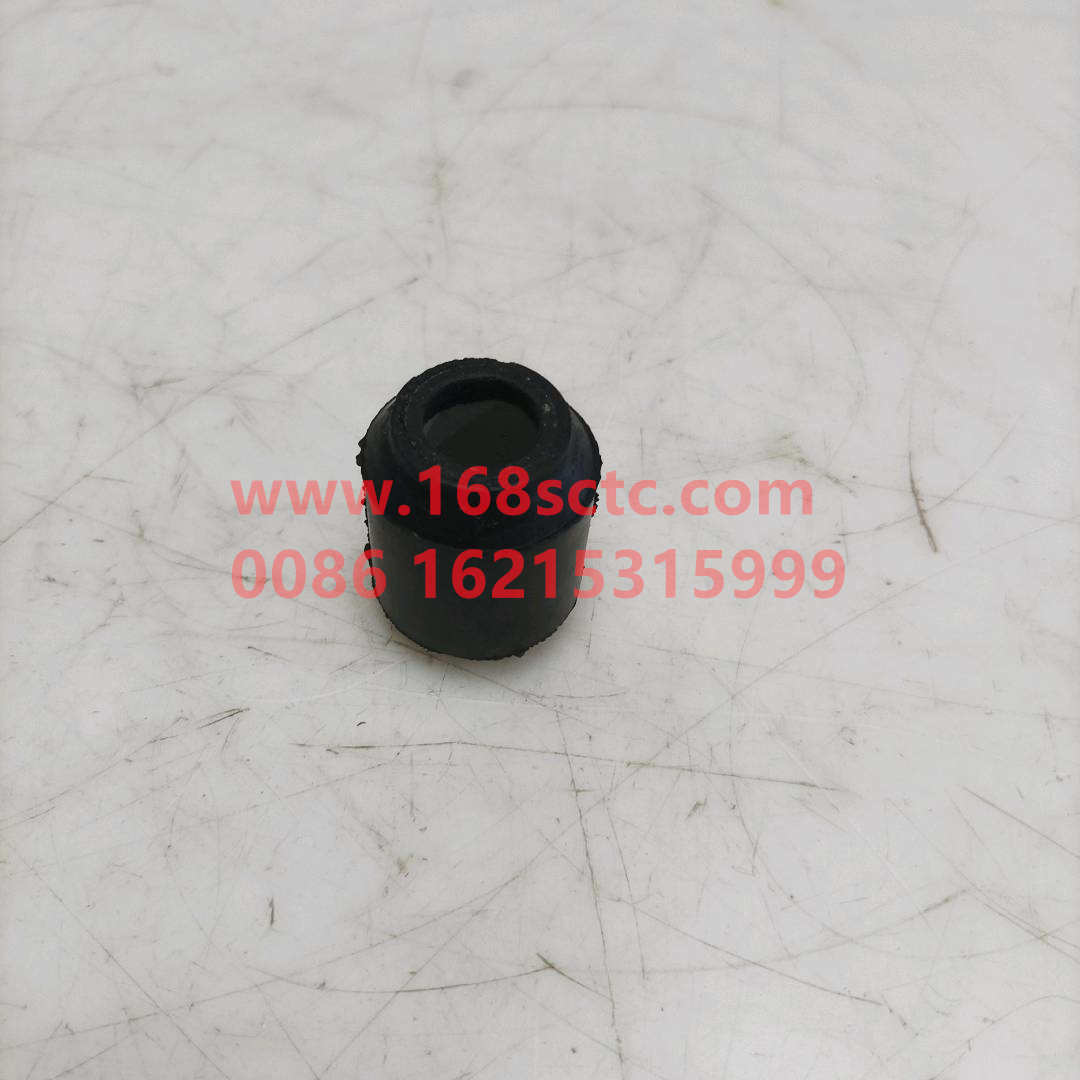 WG9100680054