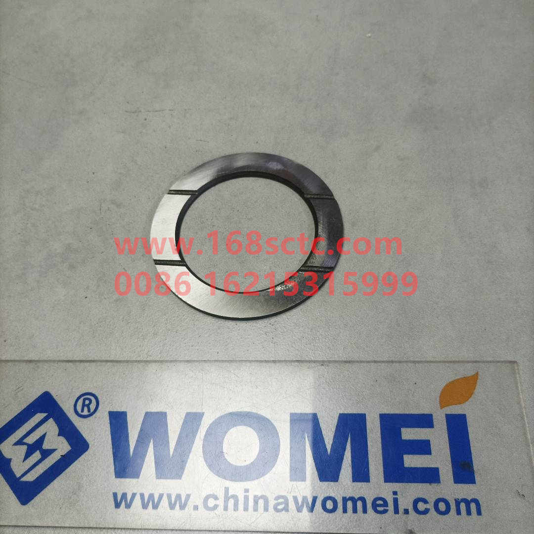 WG9231320096