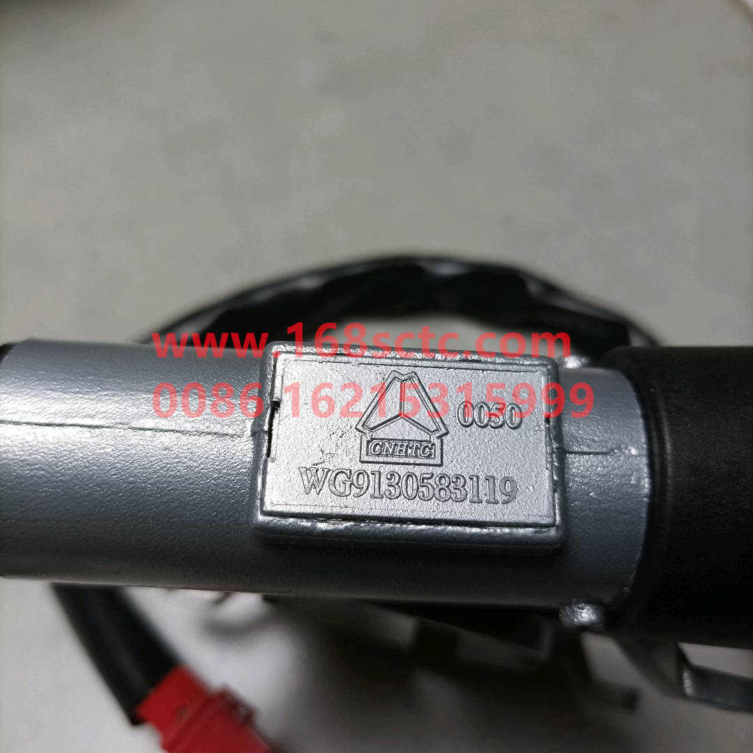 WG9130583119*
