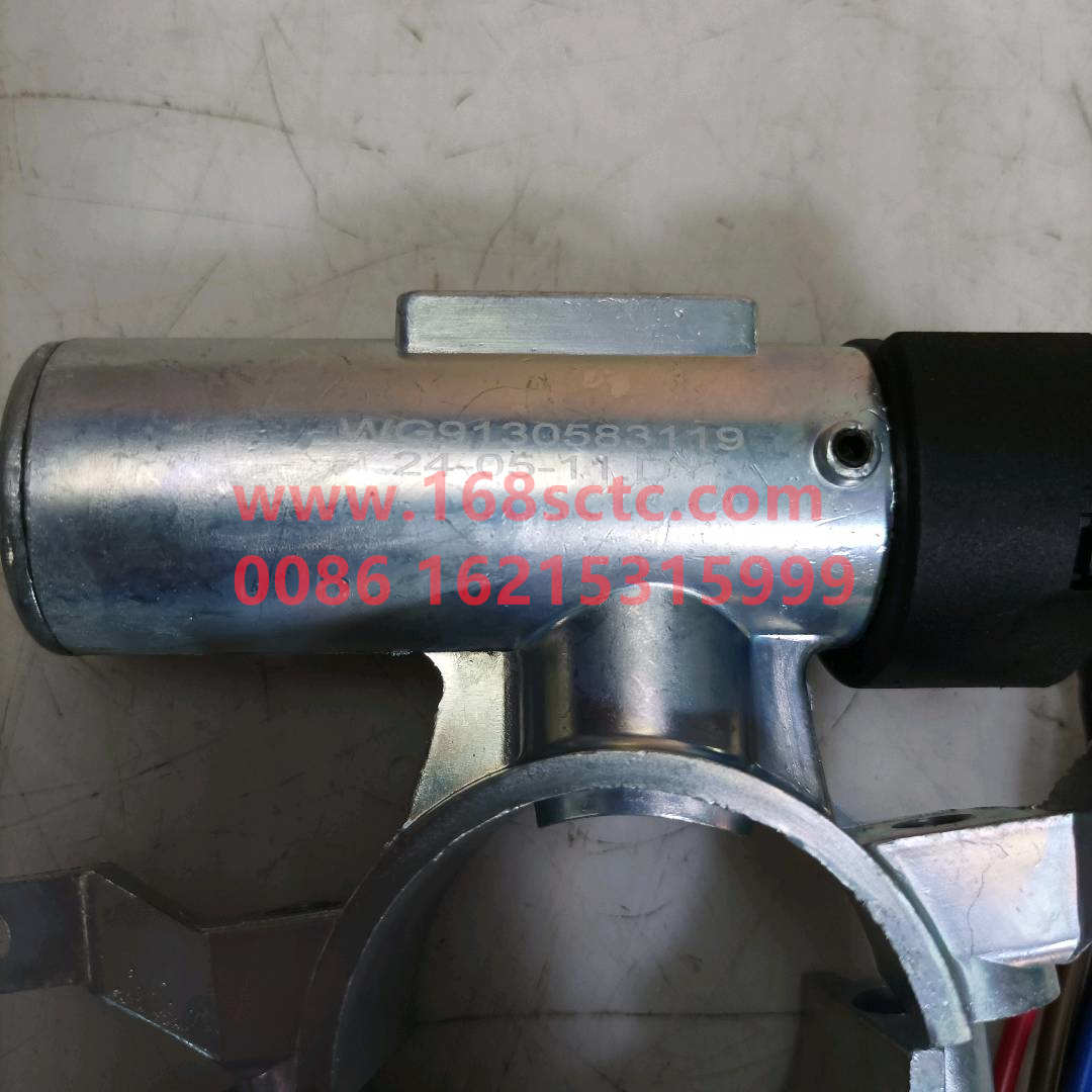 WG9130583119*
