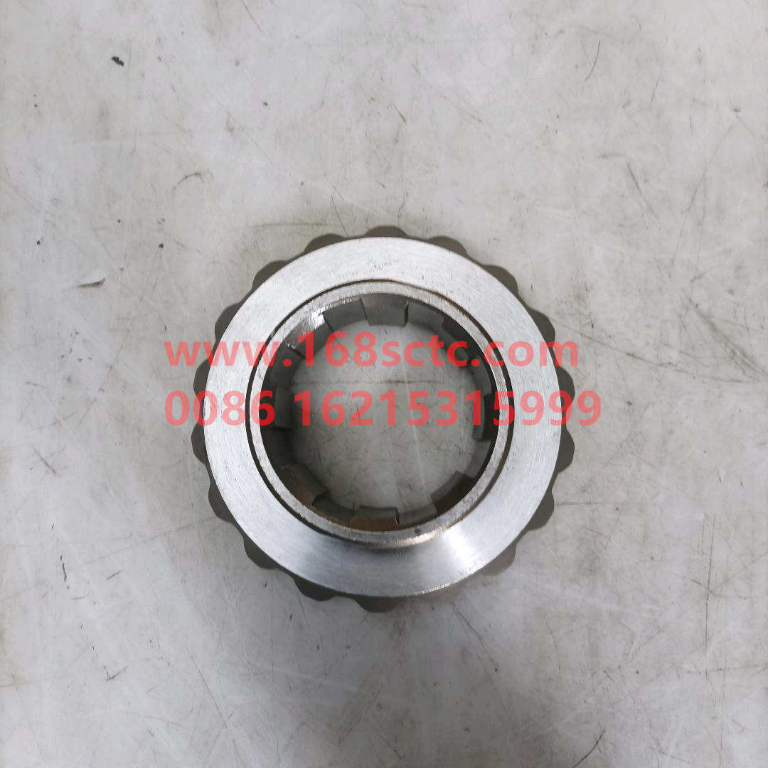 WG9231320226