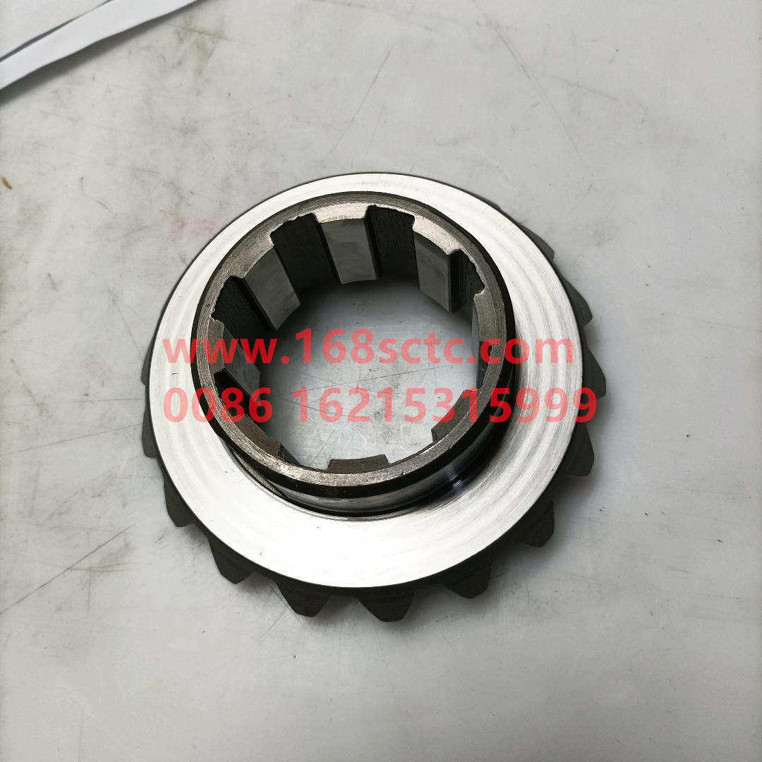 WG9231320226