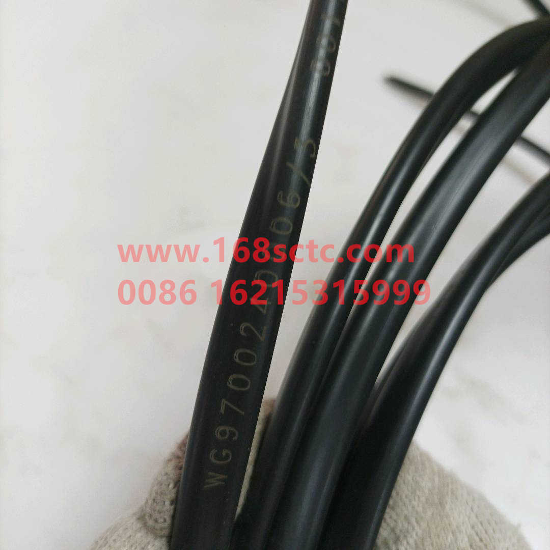 WG9700240006*