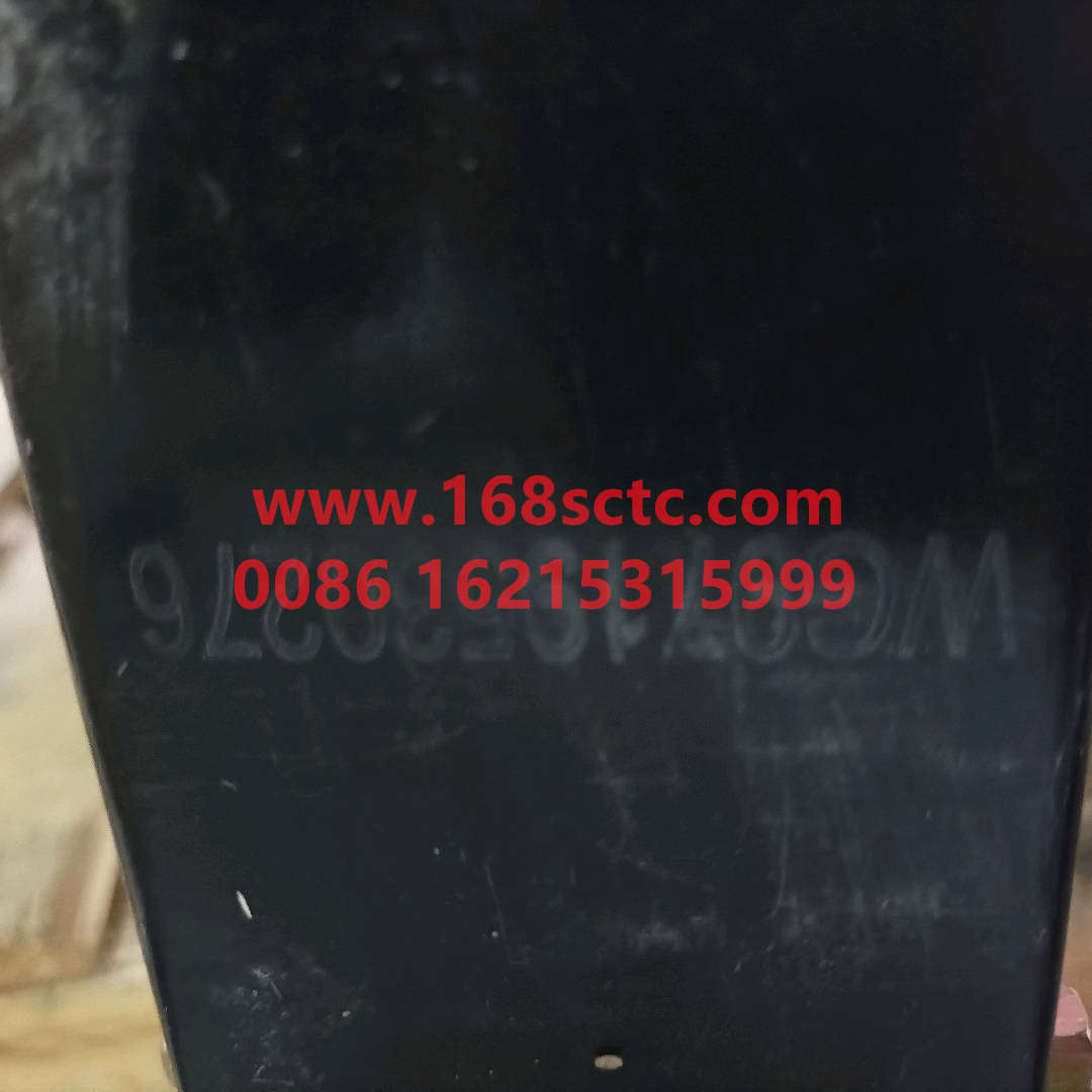 WG9719530276*