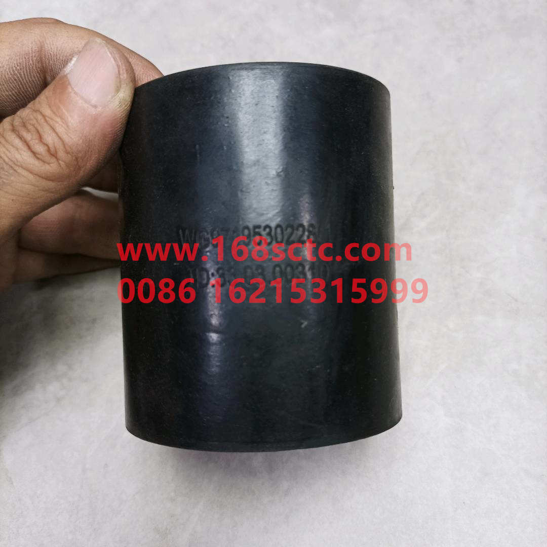 WG9719530228*