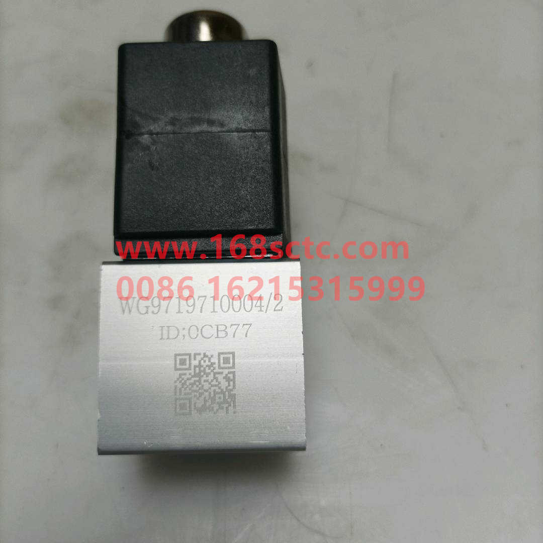 WG9719710004*