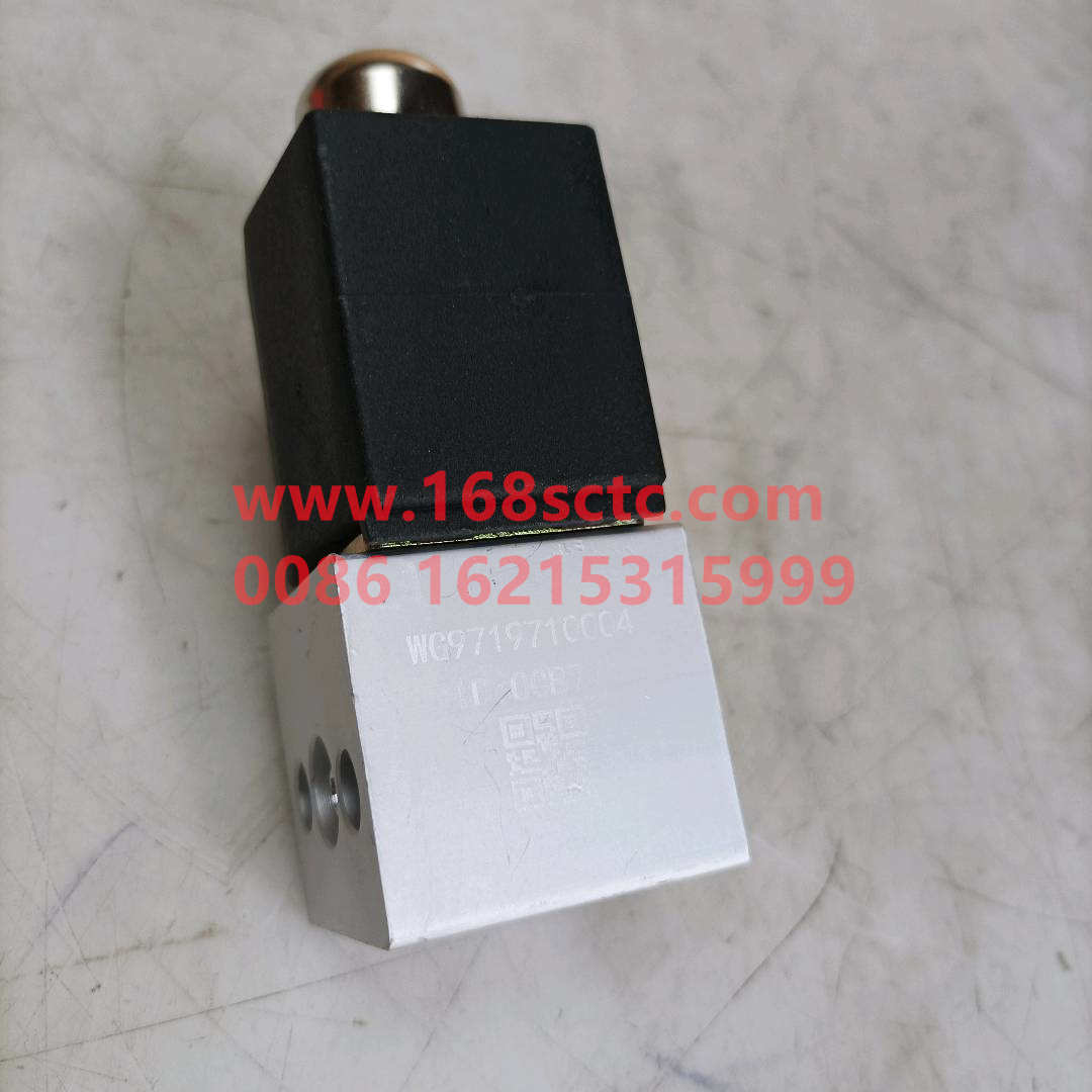 WG9719710004*