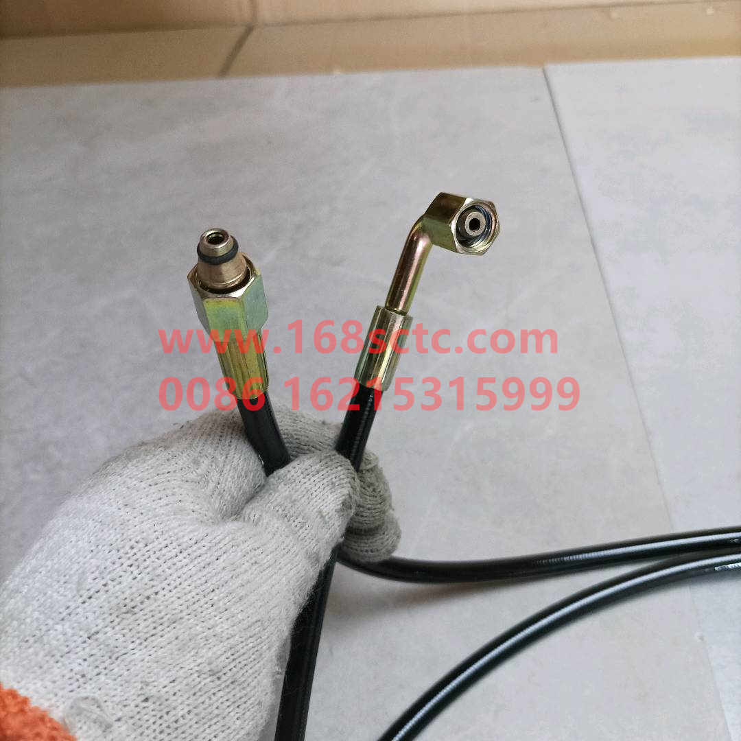 WG9719820206*