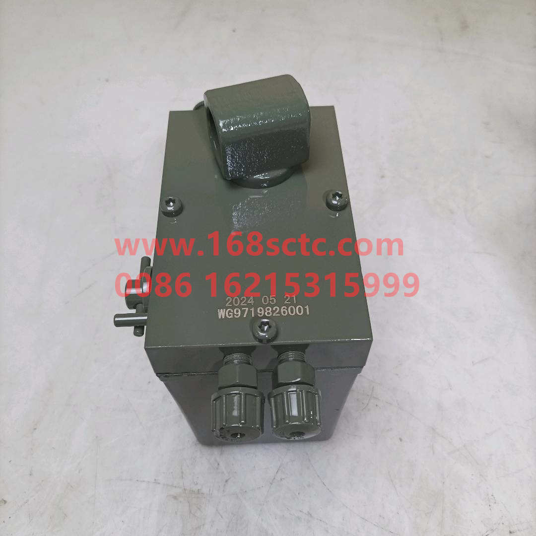 WG9719826001*