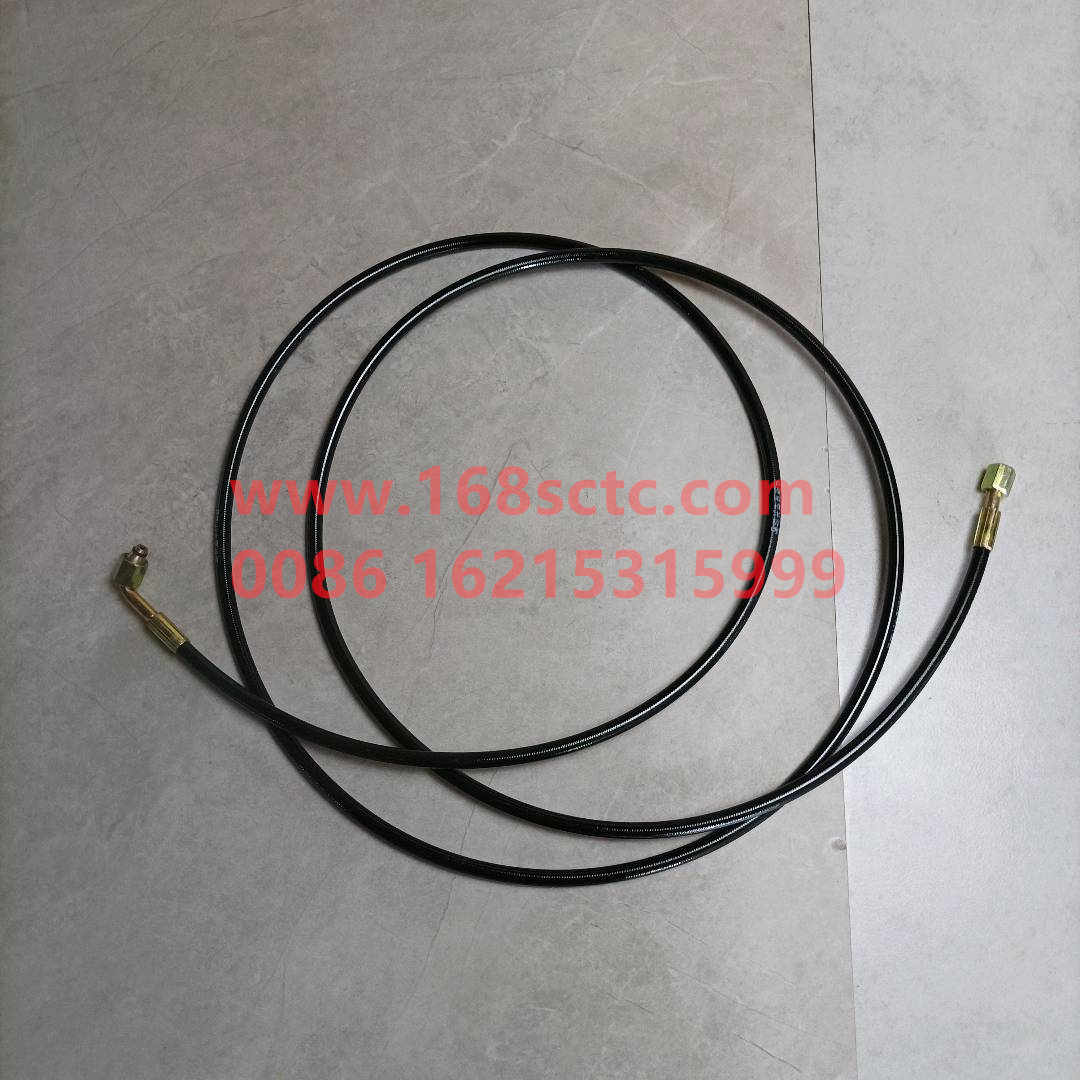 WG9719820206*