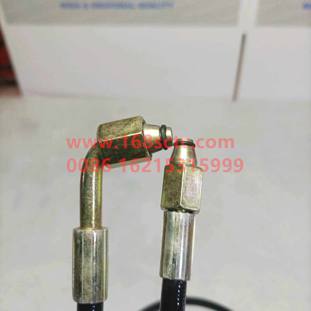 WG9719820206*