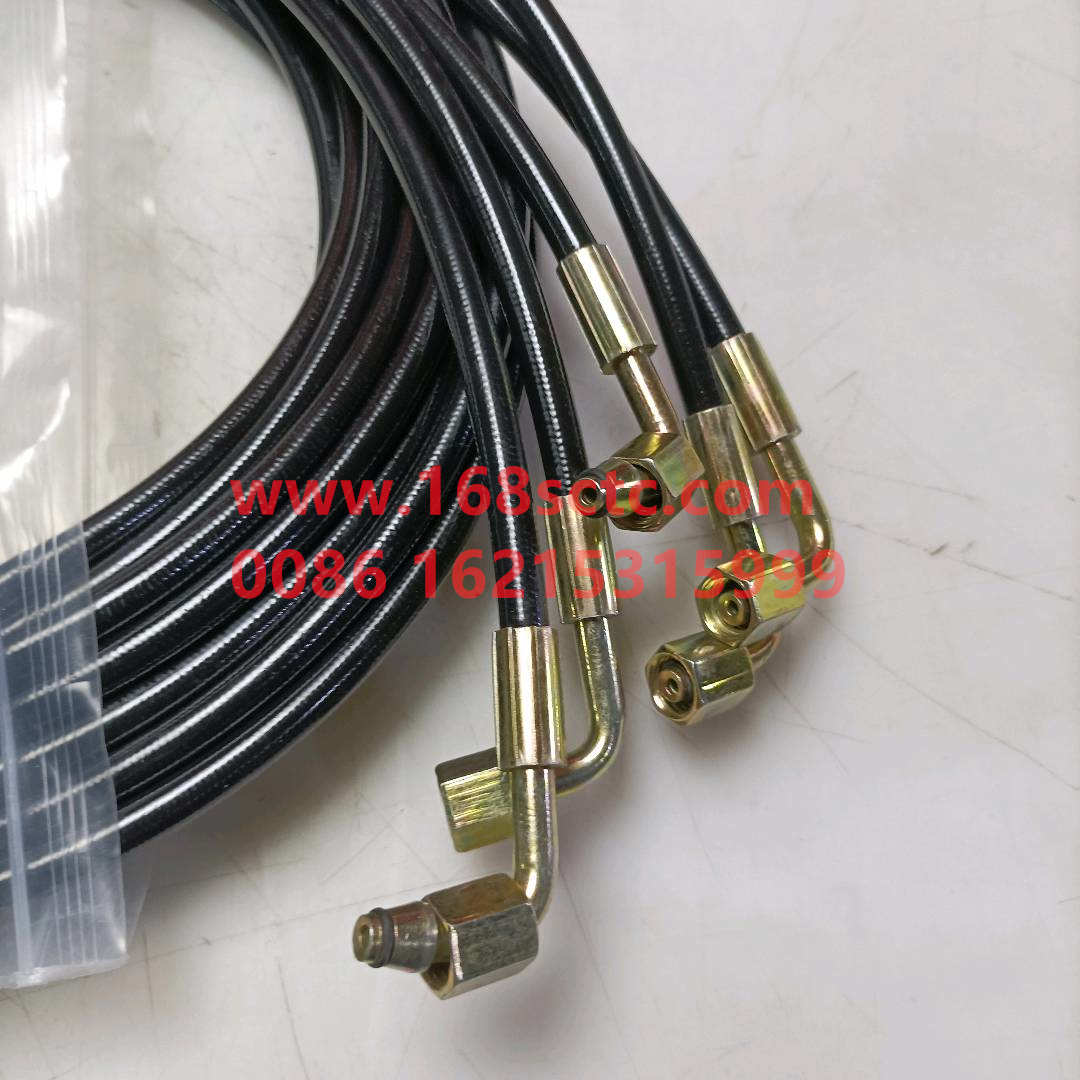 WG9719820203